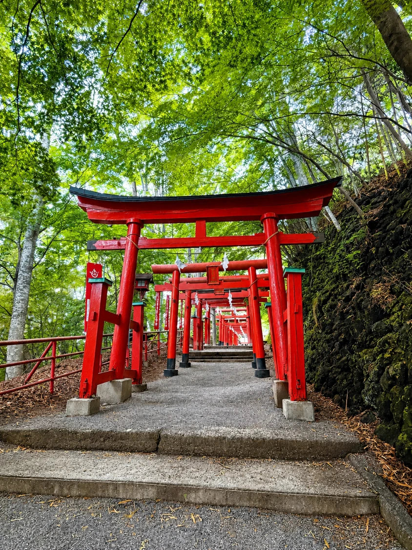 佐久 鳥居参道